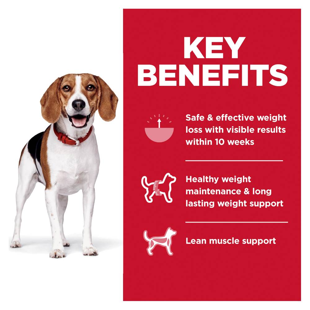 Hills Science Diet Adult Perfect Weight Small Bites Dry Dog Food