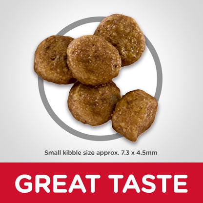 Hills Science Diet Puppy Small Bites Dry Dog Food