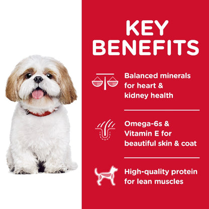 Hills Science Diet Senior Adult 7+ Small Bites Dry Dog Food