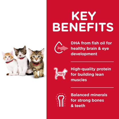 Hills Science Diet Kitten Dry Cat Food