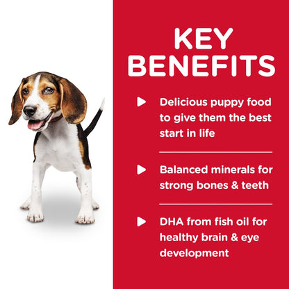 Hills Science Diet Puppy Chicken and Barley Entree Canned Food