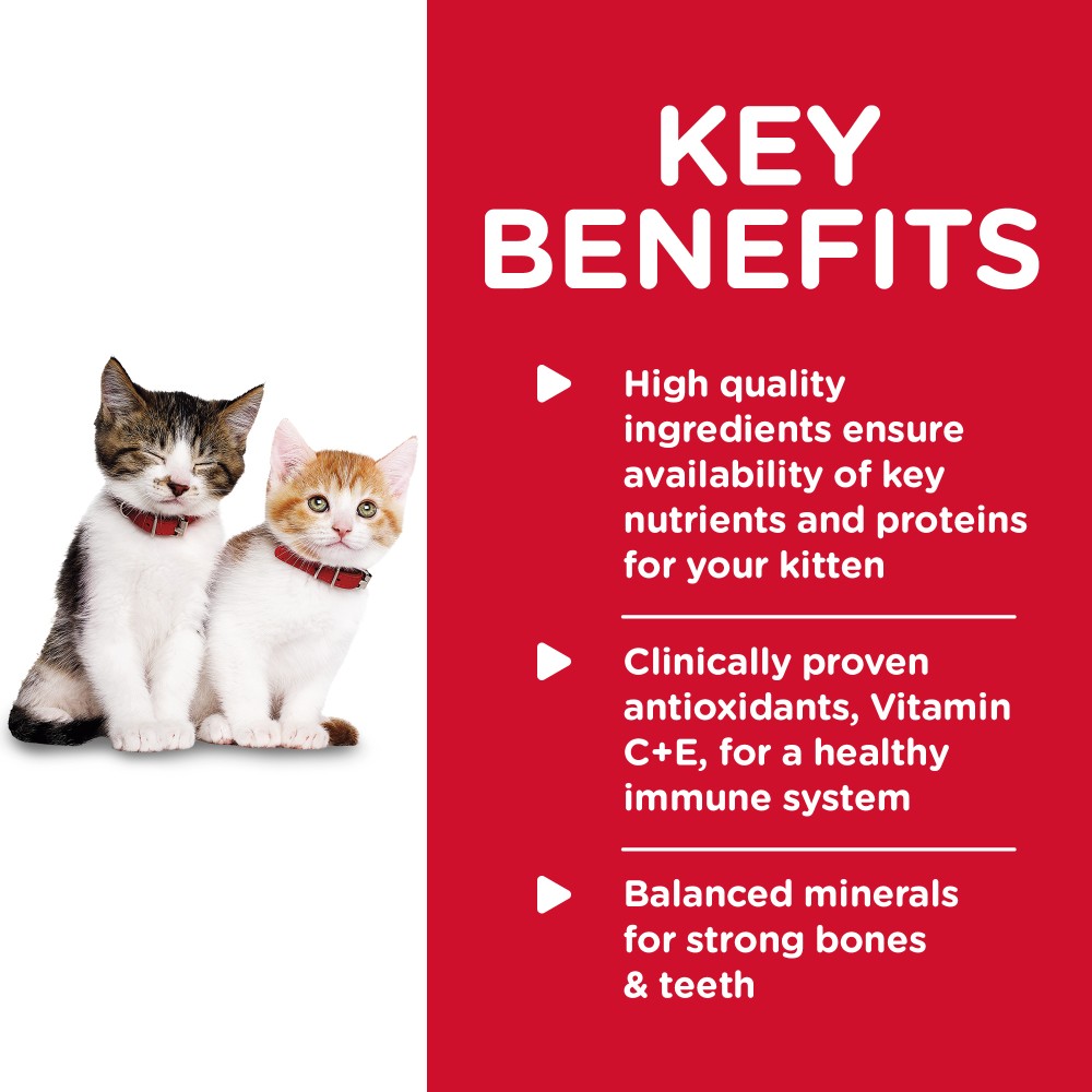 Hills Science Diet Kitten Healthy Cuisine Chicken and Rice Medley Canned Food