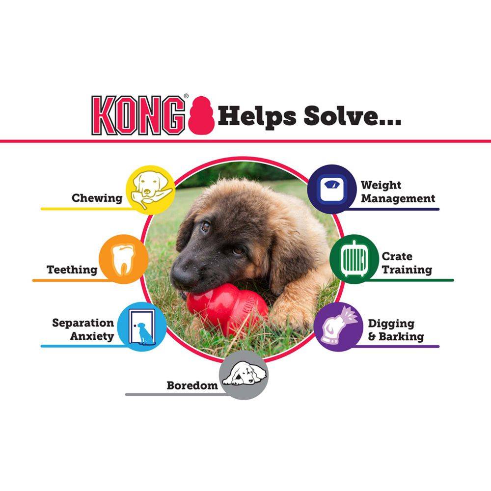 KONG for Puppies