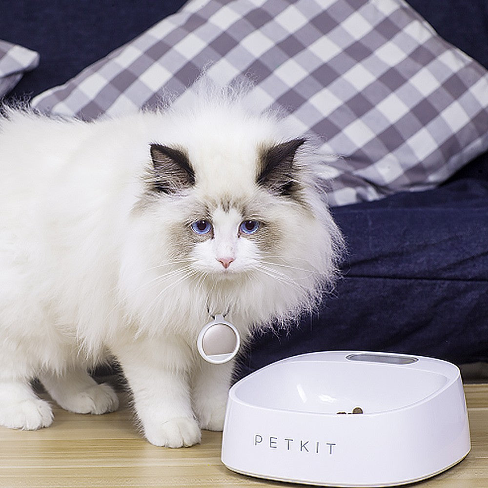 PetKit Fresh Smart Bowl White