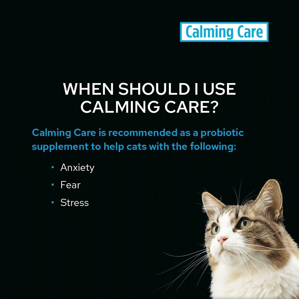 Pro Plan Veterinary Diet Calming Care Feline Probiotic