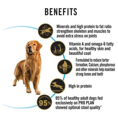 Pro Plan Adult Large Breed Essential Health
