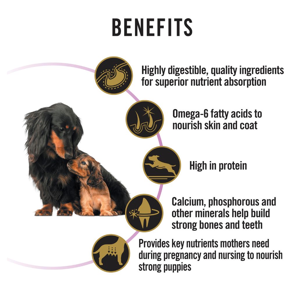 Pro Plan Mothers and Puppies Performance Starter
