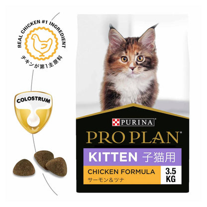 Pro Plan Kitten