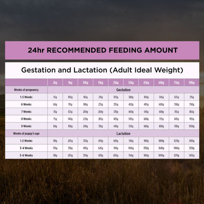 Pro Plan Adult Performance All Size and Life Stages