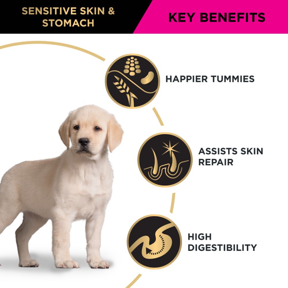 Pro Plan Puppy All Size Sensitive Skin and Stomach