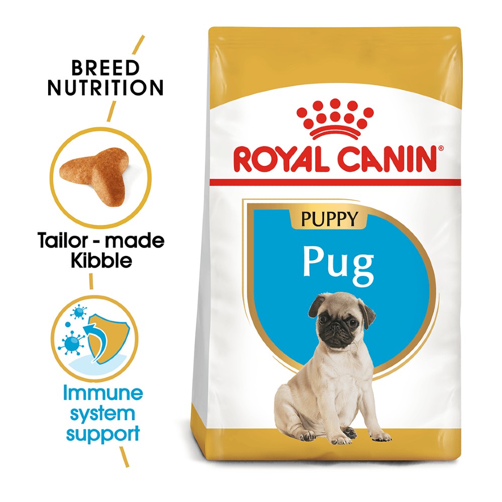 Royal Canin Pug Puppy