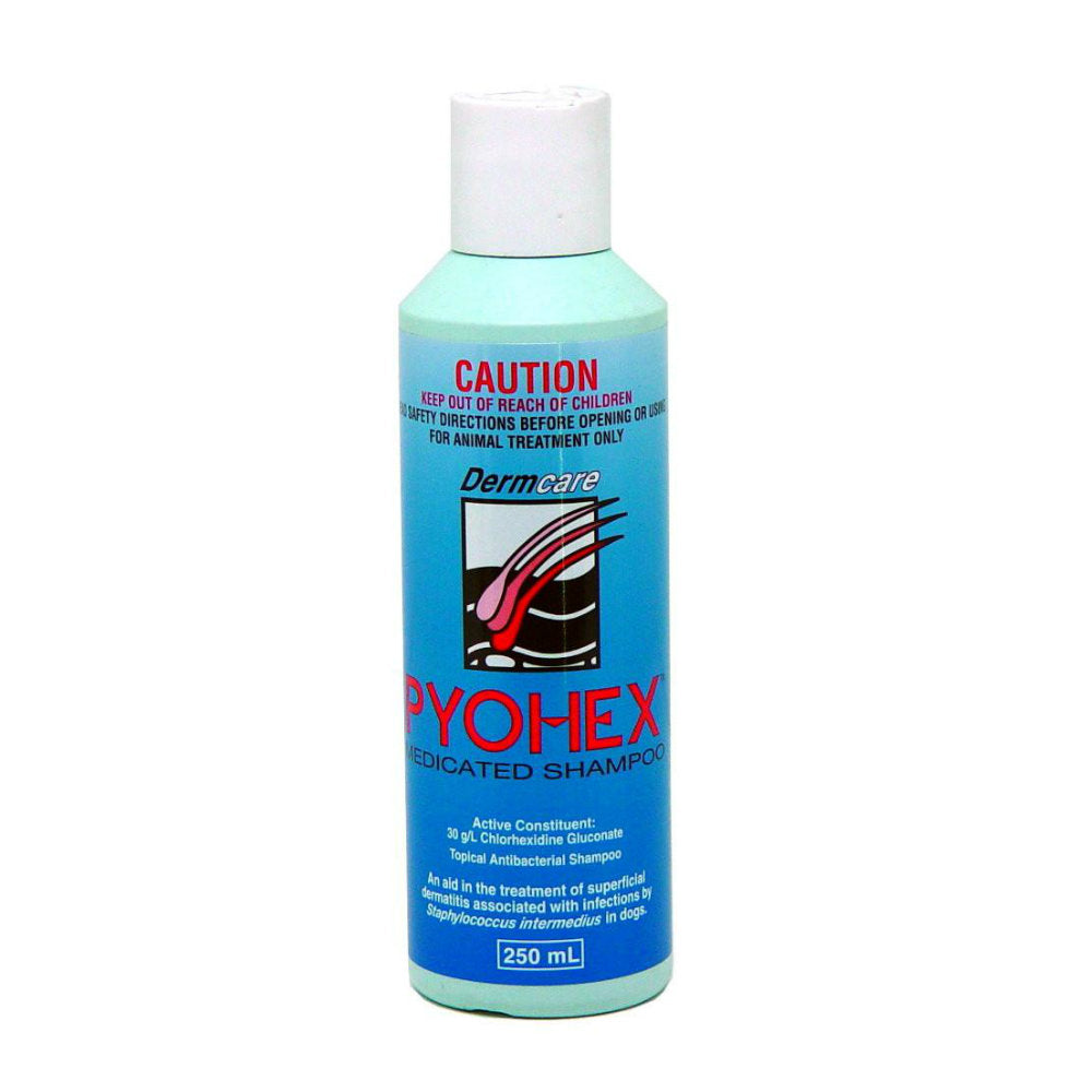 Dermcare Pyohex Shampoo