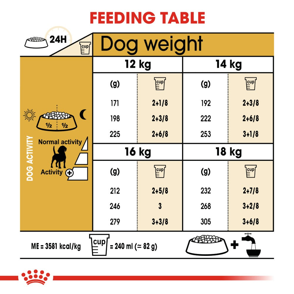 Royal Canin Beagle