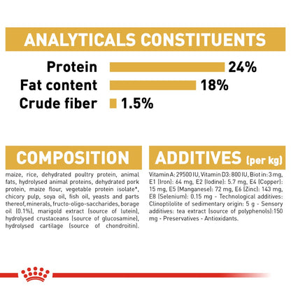 Royal Canin Maltese Adult