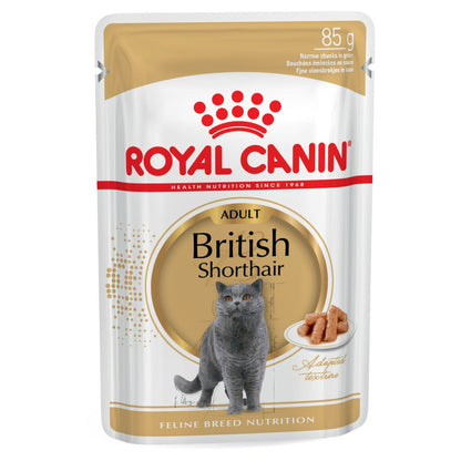 Royal Canin Adult British Shorthair in Gravy