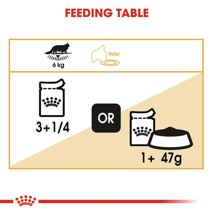Royal Canin Maine Coon Adult in Gravy