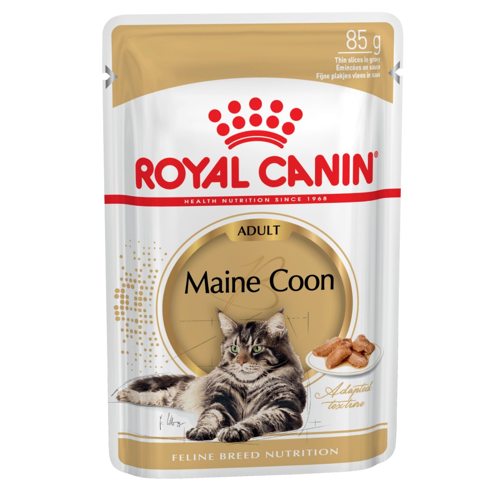Royal Canin Maine Coon Adult in Gravy