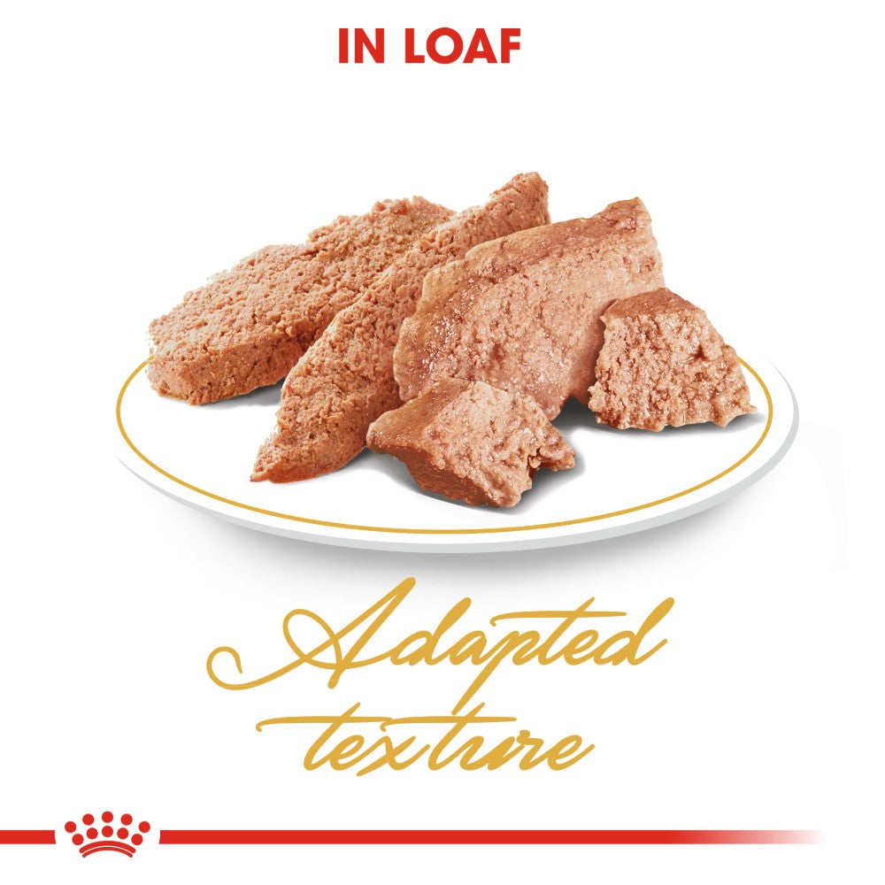 Royal Canin Persian Adult Loaf Pouches