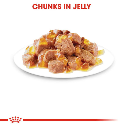Royal Canin Hair and Skin in Jelly