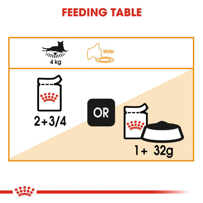 Royal Canin Hair and Skin in Jelly