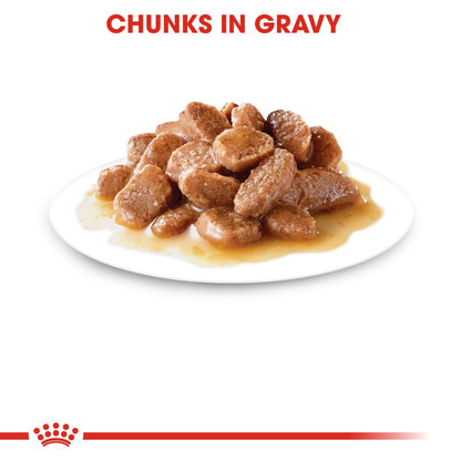 Royal Canin Adult Light Weight Care in Gravy
