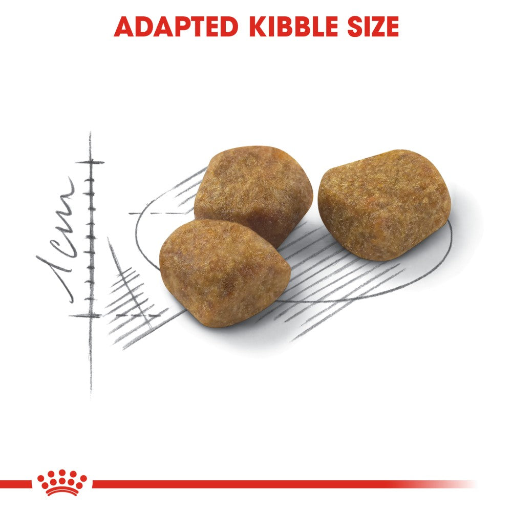 Royal Canin Feline Fit