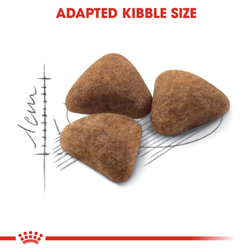 Royal Canin Adult Indoor