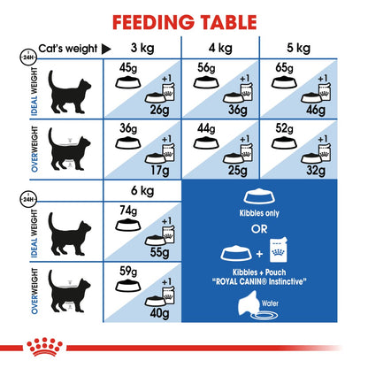 Royal Canin Adult Indoor