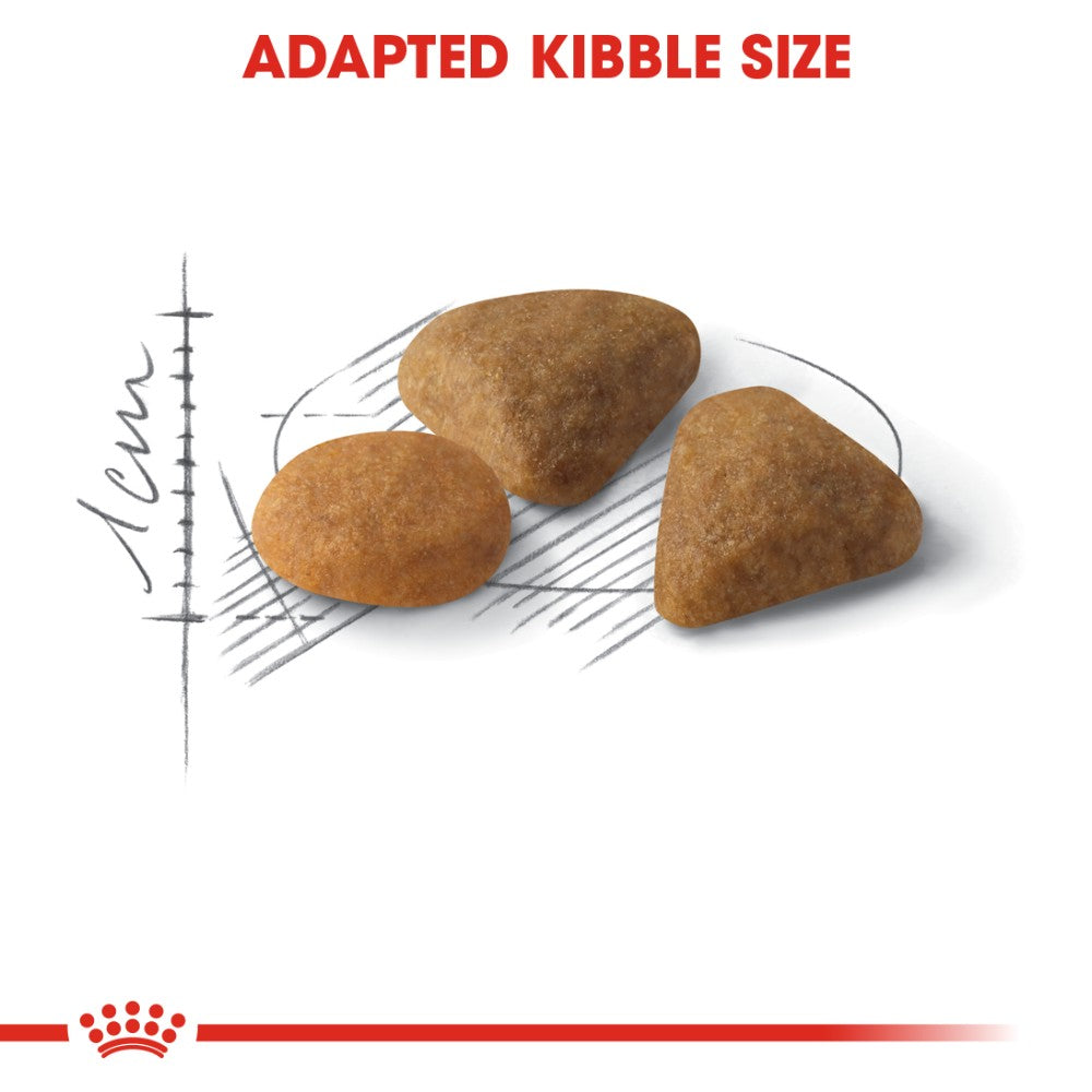 Royal Canin Adult Exigent Savour Sensation