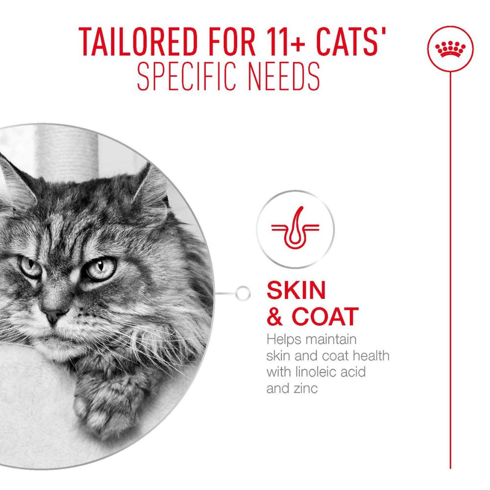 Royal Canin Ageing 11+