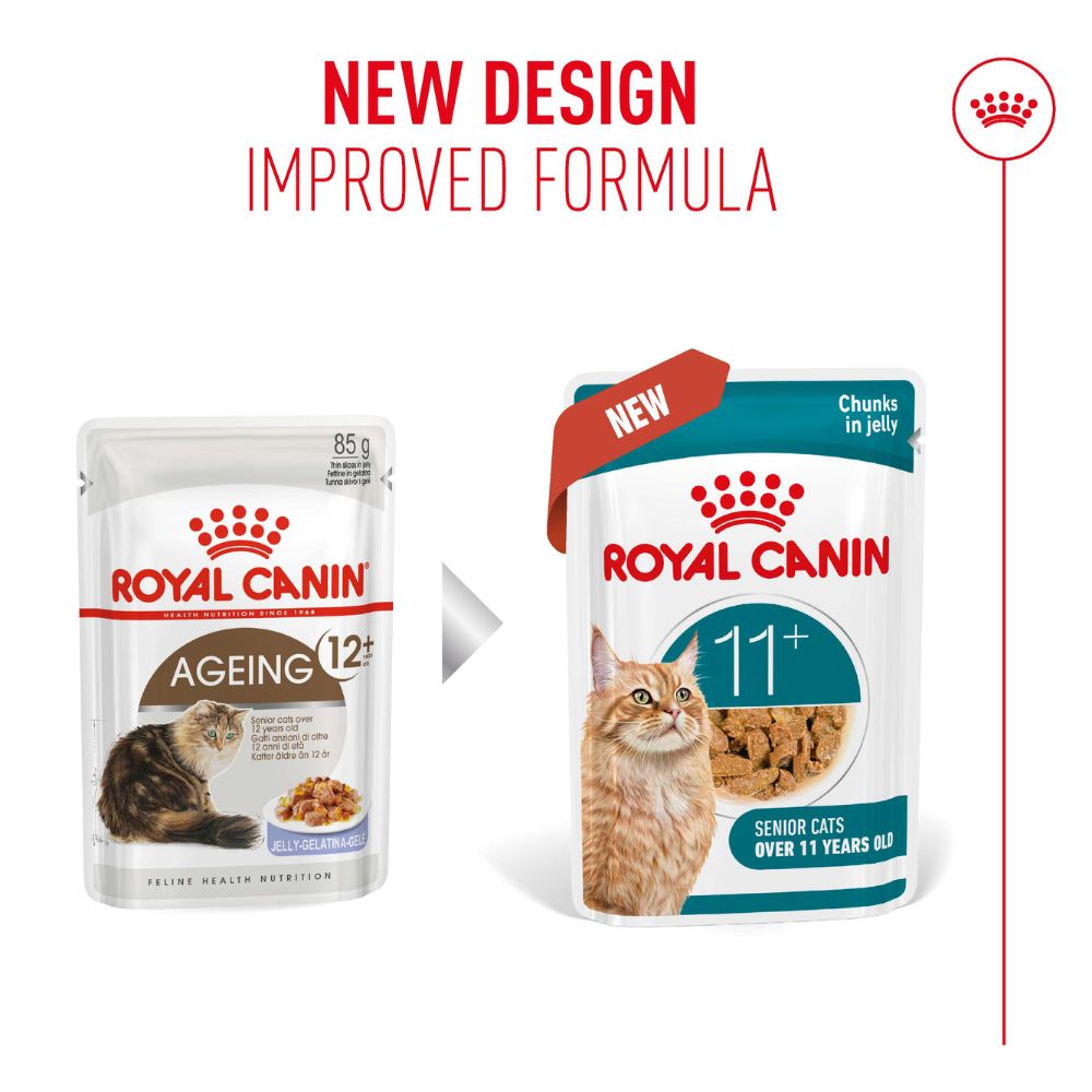 Royal Canin Ageing 11+ in Jelly
