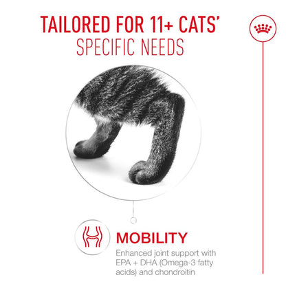 Royal Canin Ageing 11+ in Jelly