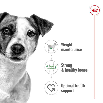 Royal Canin Mini Adult Loaf Cans