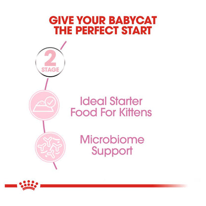 Royal Canin Mother and Babycat Mousse Cans