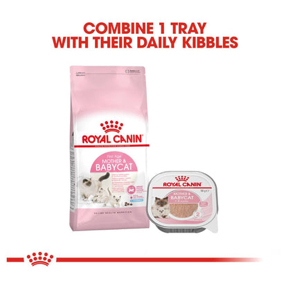 Royal Canin Mother and Babycat Mousse Cans