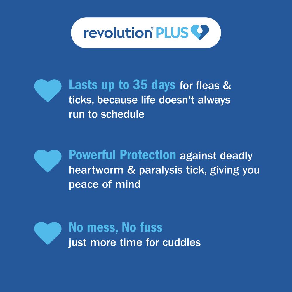 Revolution Plus Large Cat 5.1-10kg