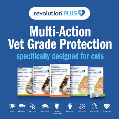Revolution Plus Large Cat 5.1-10kg