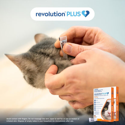 Revolution Plus Medium Cat 2.6-5kg