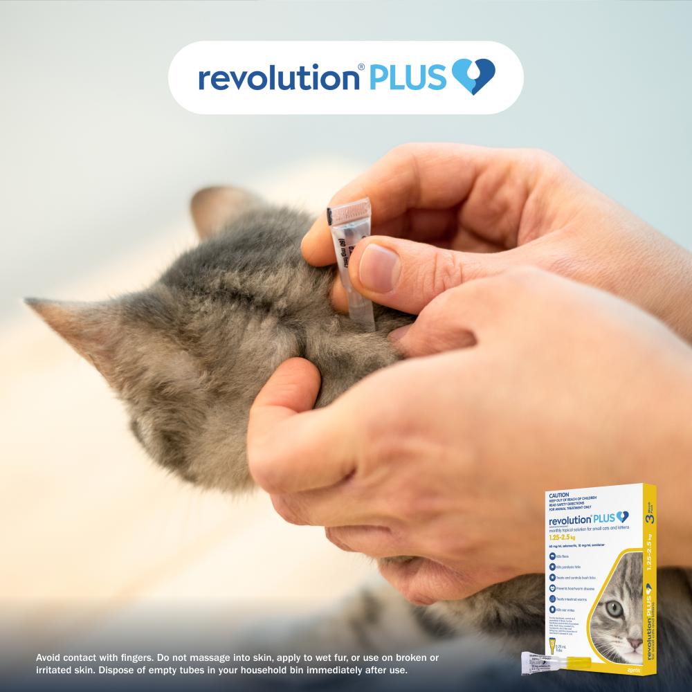 Revolution Plus Kitten and Small Cat 1.25-2.5kg