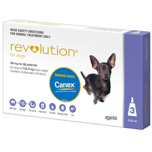 Revolution Purple Extra Small 2.6-5kg