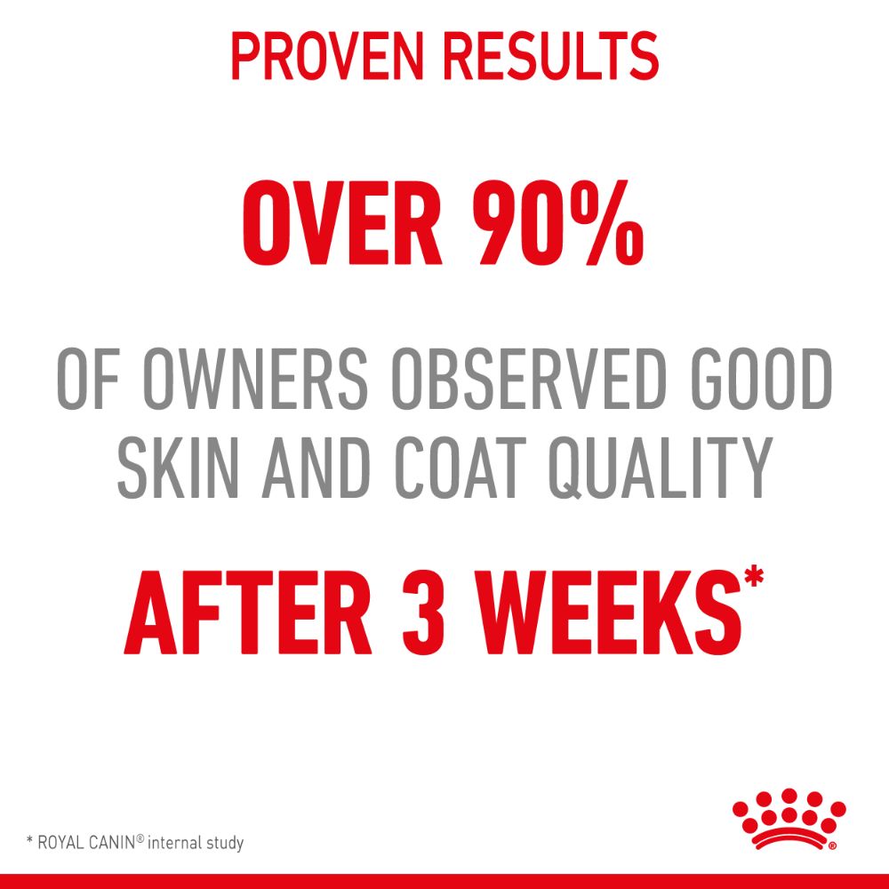 Royal Canin Hair and Skin Care in Gravy