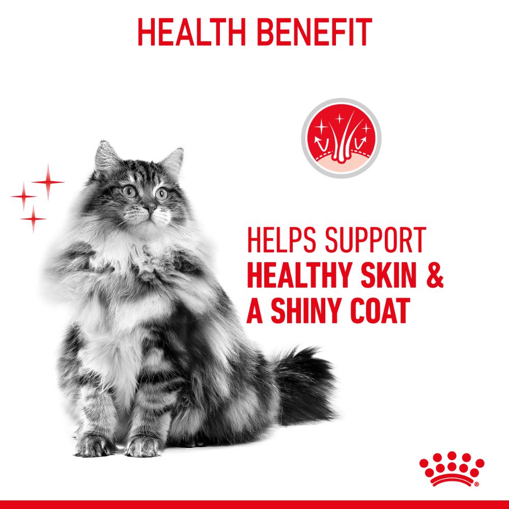 Royal Canin Hair and Skin Care in Gravy