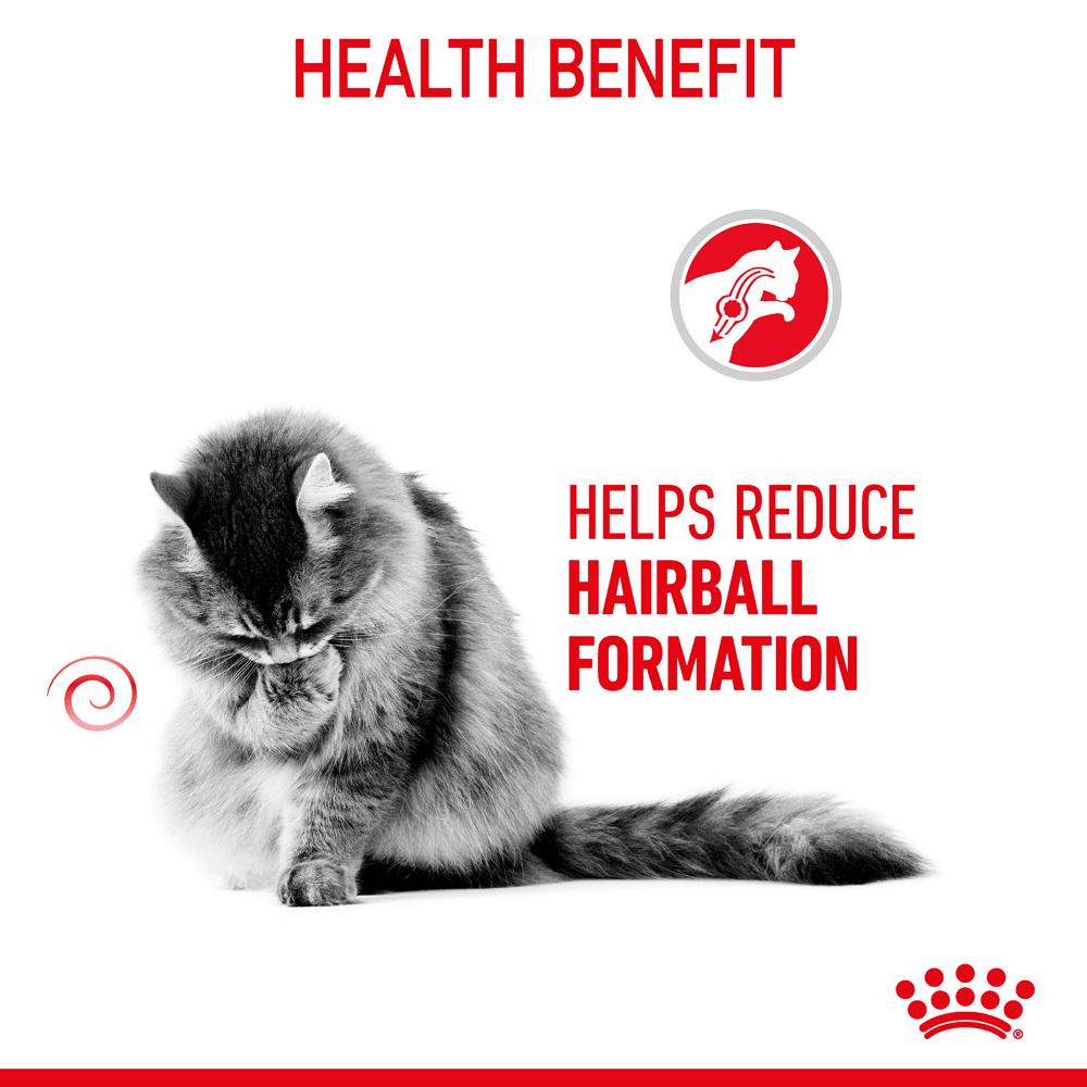 Royal Canin Adult Hairball Care in Jelly