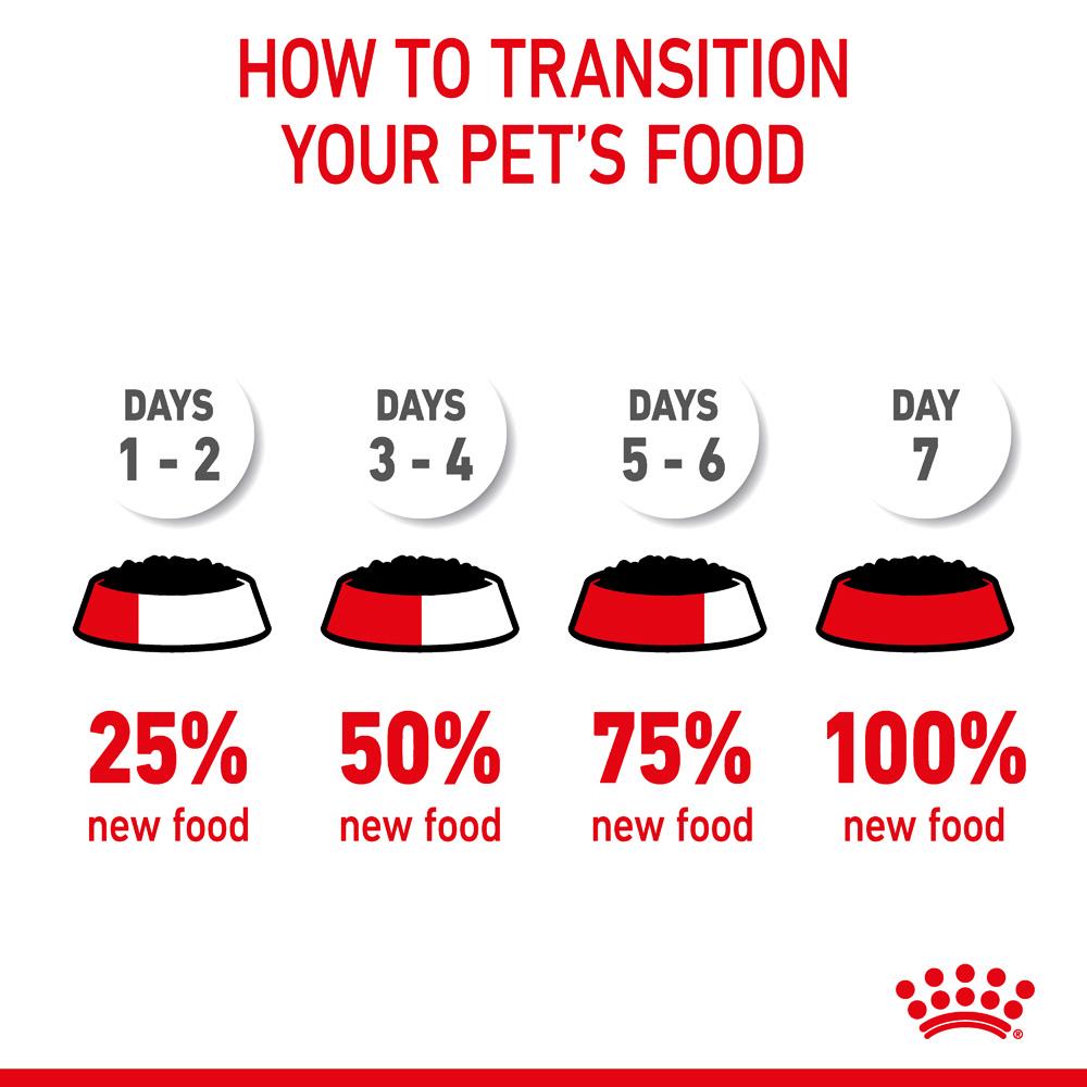 Royal Canin Adult Hairball Care in Jelly