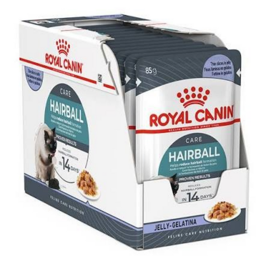 Royal Canin Adult Hairball Care in Jelly