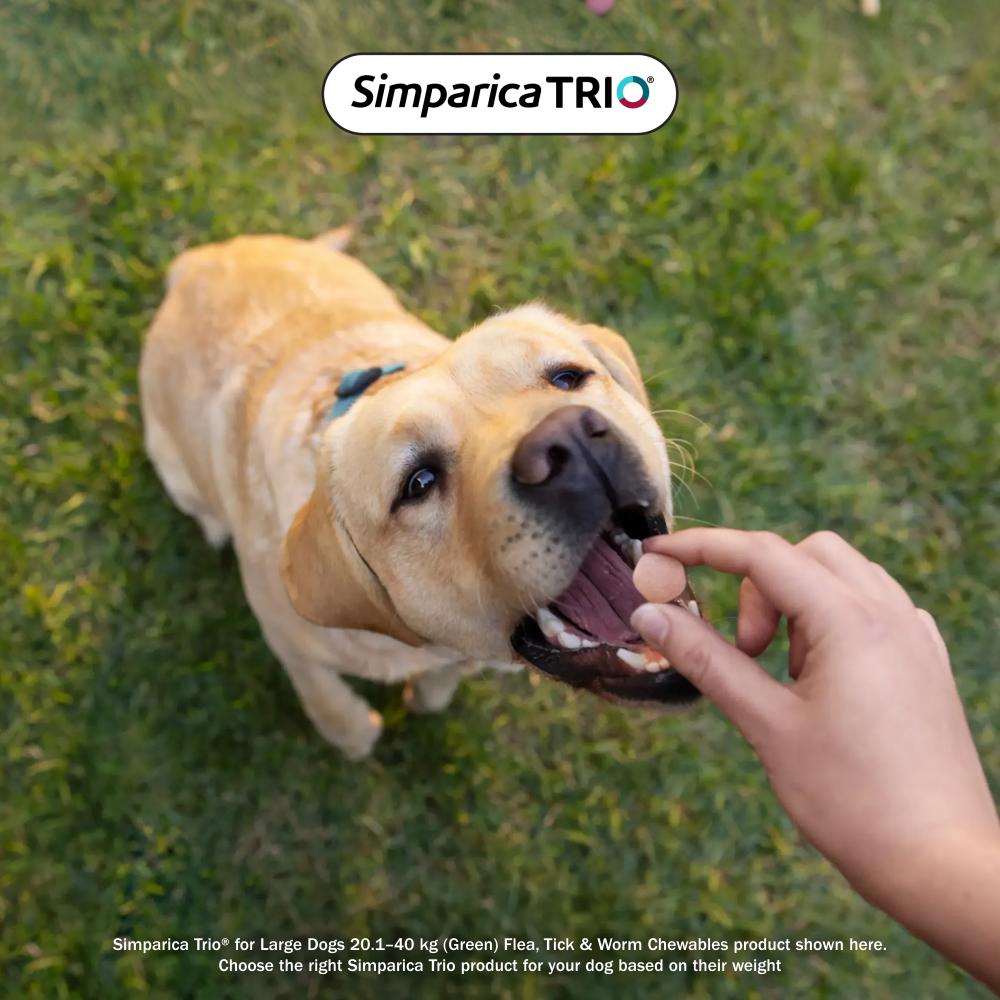 Simparica Trio Puppy 1.3-2.5kg