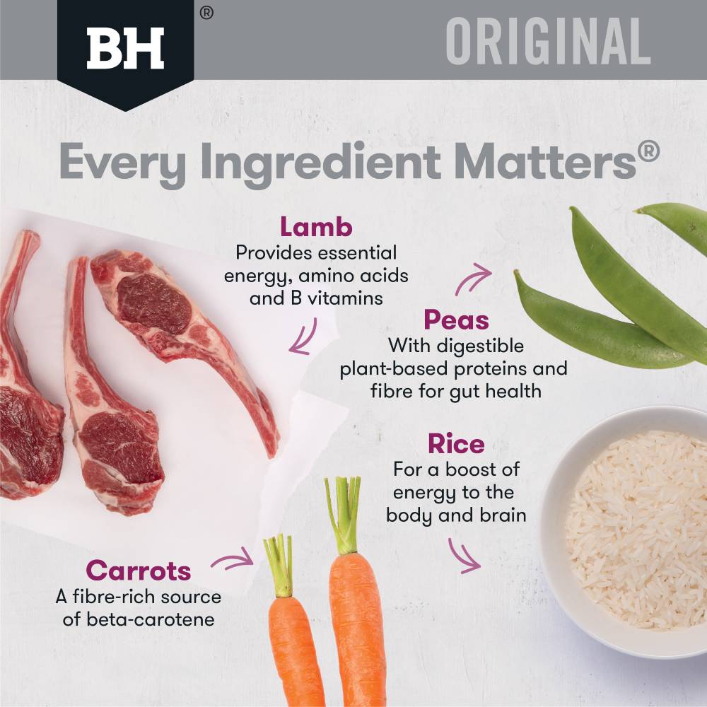 Black Hawk Dog Food Small Breed Adult Lamb and Rice