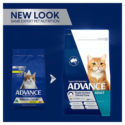Advance Cat Adult Dental Care