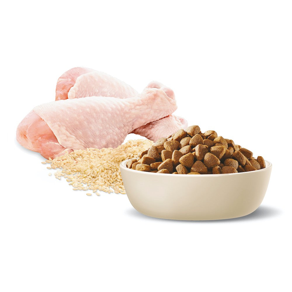 Advance Adult Medium Breed Healthy Ageing