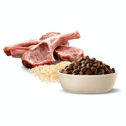 Advance Medium Breed Lamb